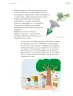 Miniatura página 176 de Proyectos de Aula.   Libro de Educación Primaria Grado 3°  Ciclo Escolar 2025 - 2026