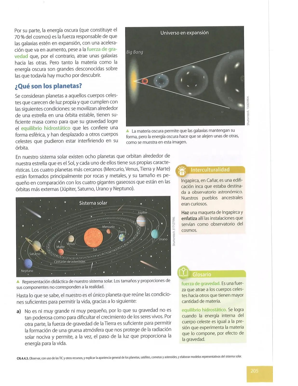 Miniatura página 204 de Ciencias Naturales · 8 EGB · 2025