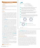 Miniatura página 78 de Sumo Primero – Tercero Básico | Texto del Estudiante MINEDUC – Descargar PDF · 2024