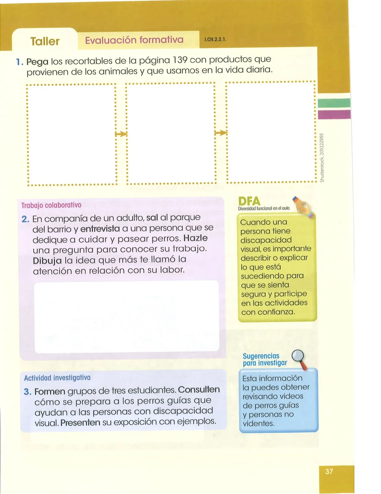 Pág 38