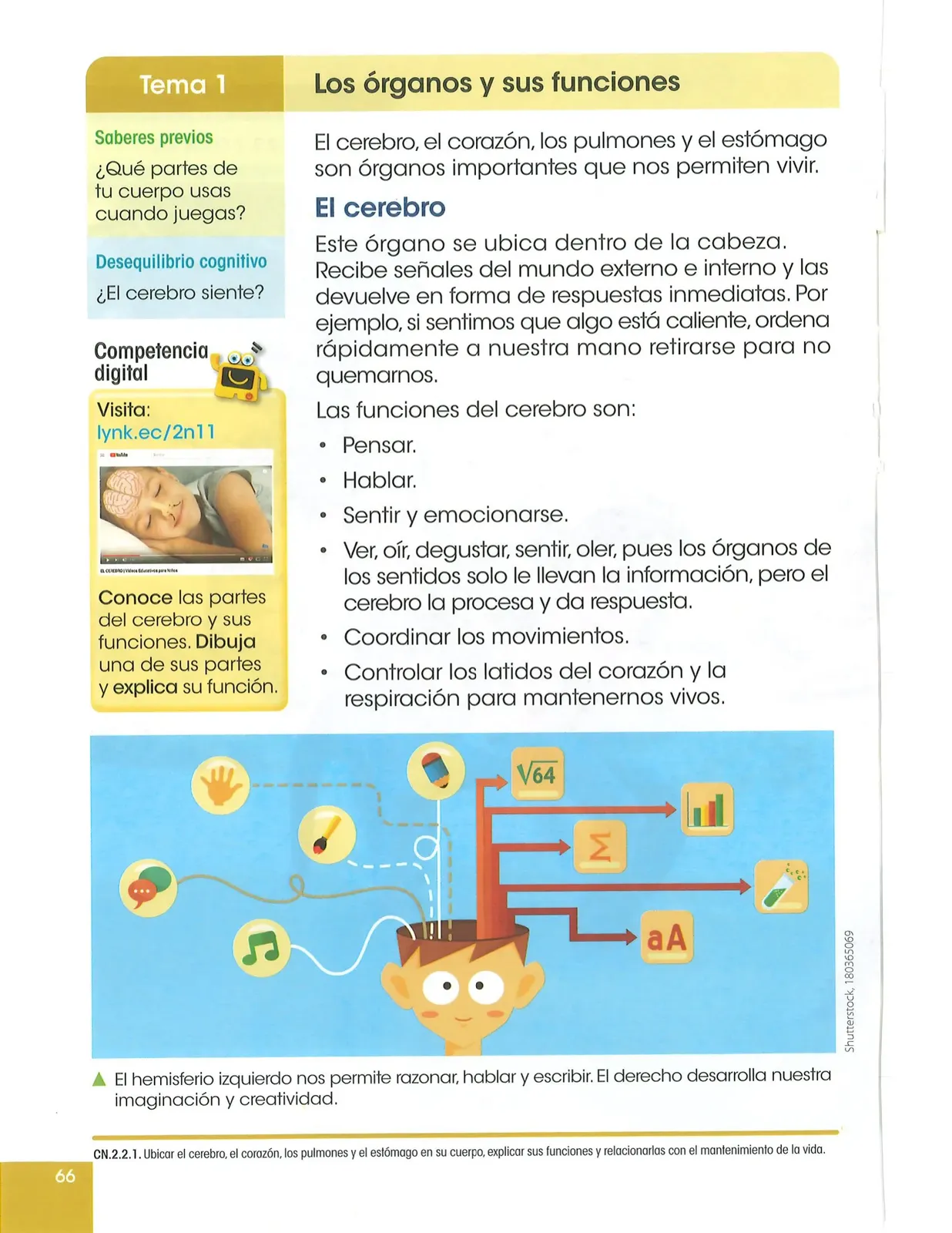 Miniatura página 67 de Ciencias Naturales · 2 EGB · 2025