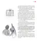 Miniatura página 98 de Colección Nanahuatzin. Múltiples lenguajes.   Libro de Educación Secundaria Grado 3°  Ciclo Escolar 2025 - 2026