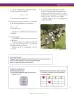 Miniatura página 67 de Matematica 9° · Secundaria Activa
