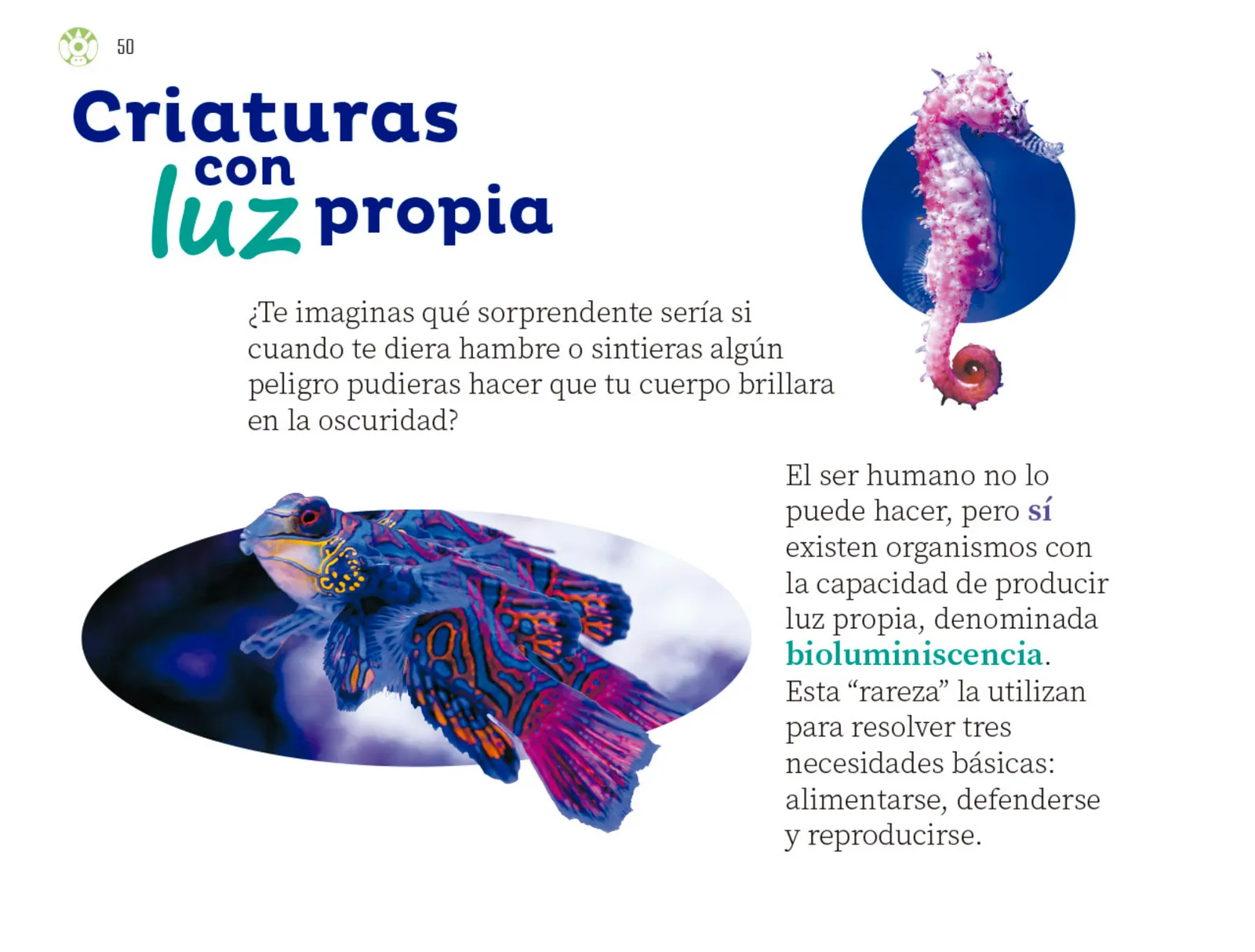 Pág 51