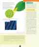 Miniatura página 100 de Ciencias Naturales – Octavo Básico | Texto del Estudiante MINEDUC – Descargar PDF · 2024