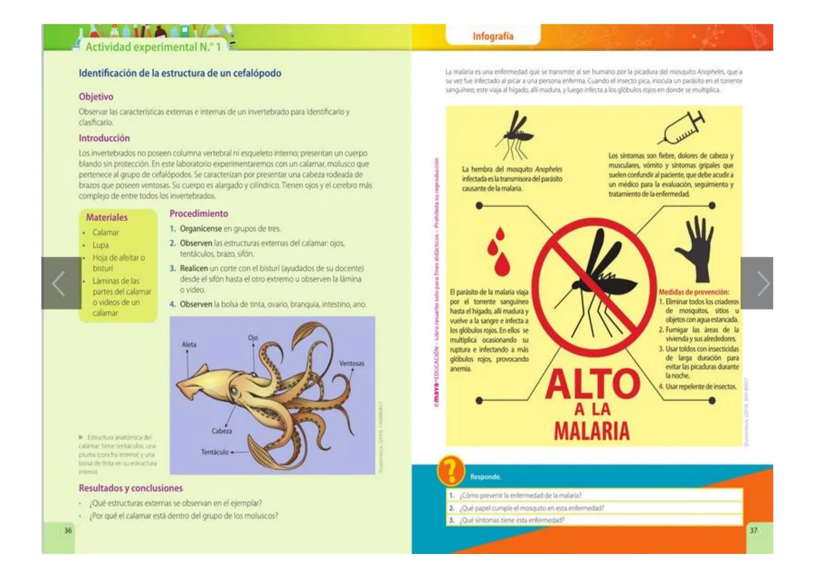 Página 18 de Ciencias Naturales · 5 EGB · 2024