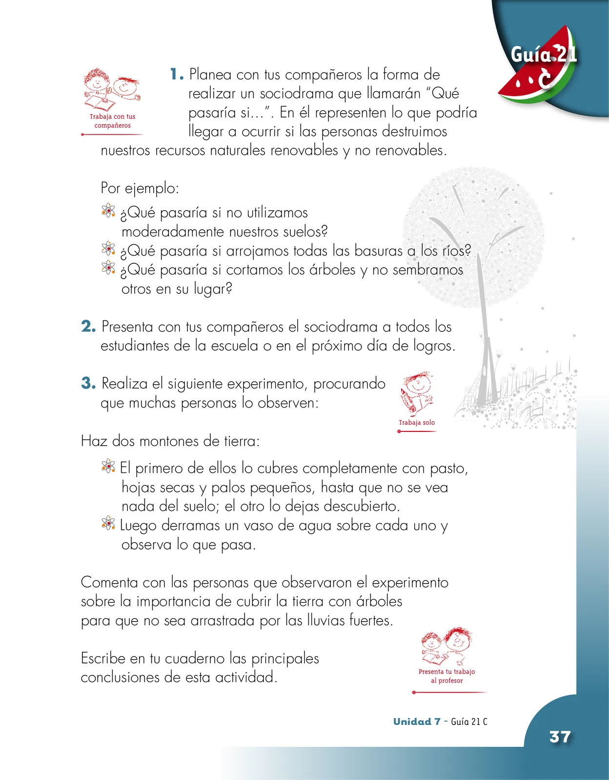 Miniatura página 37 de Ciencias Naturales 2° · Cartilla 03