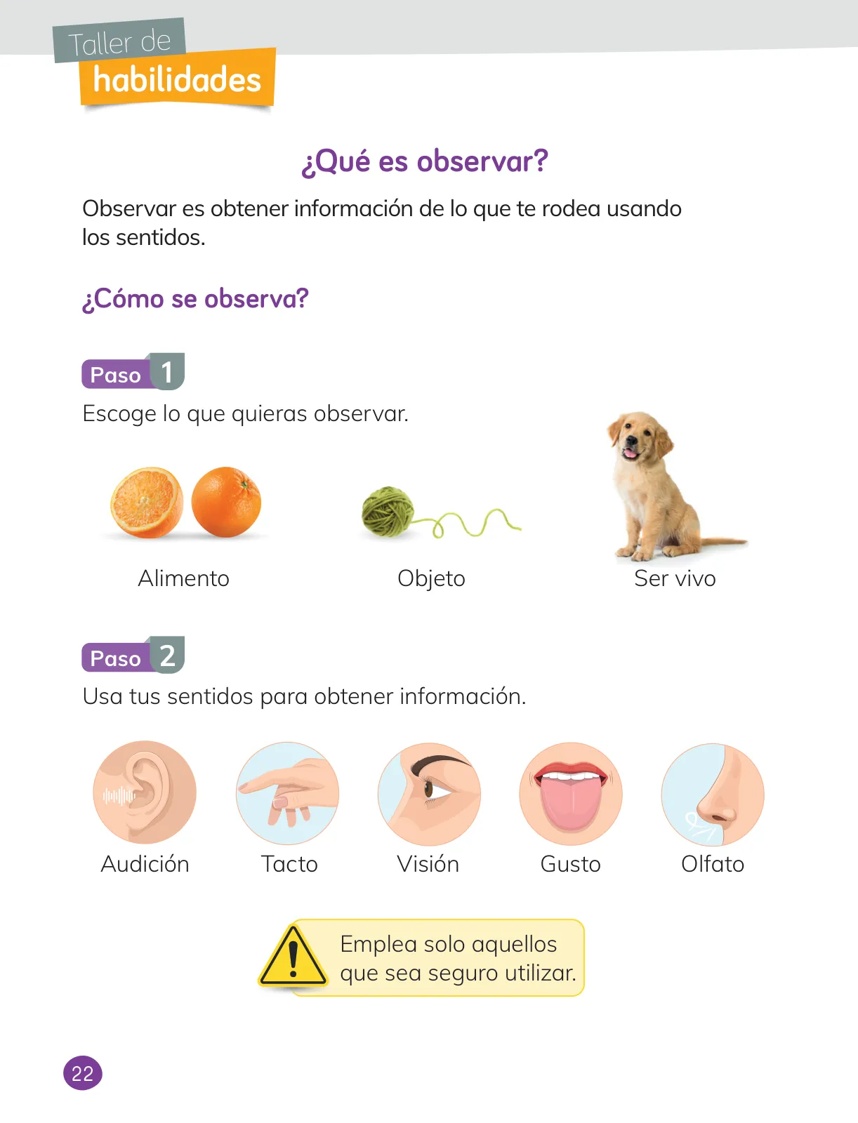 Página 24 de Ciencias Naturales – Primero Básico | Texto del Estudiante (MINEDUC) – Descargar PDF · 2024