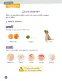 Miniatura página 24 de Ciencias Naturales – Primero Básico | Texto del Estudiante (MINEDUC) – Descargar PDF · 2024