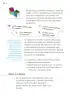 Miniatura página 17 de Proyectos Comunitarios.   Libro de Educación Primaria Grado 2°  Ciclo Escolar 2025 - 2026