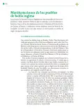 Miniatura página 263 de Colección Ximhai. Lenguajes.   Libro de Educación Telesecundaria Grado 1°  Ciclo Escolar 2025 - 2026