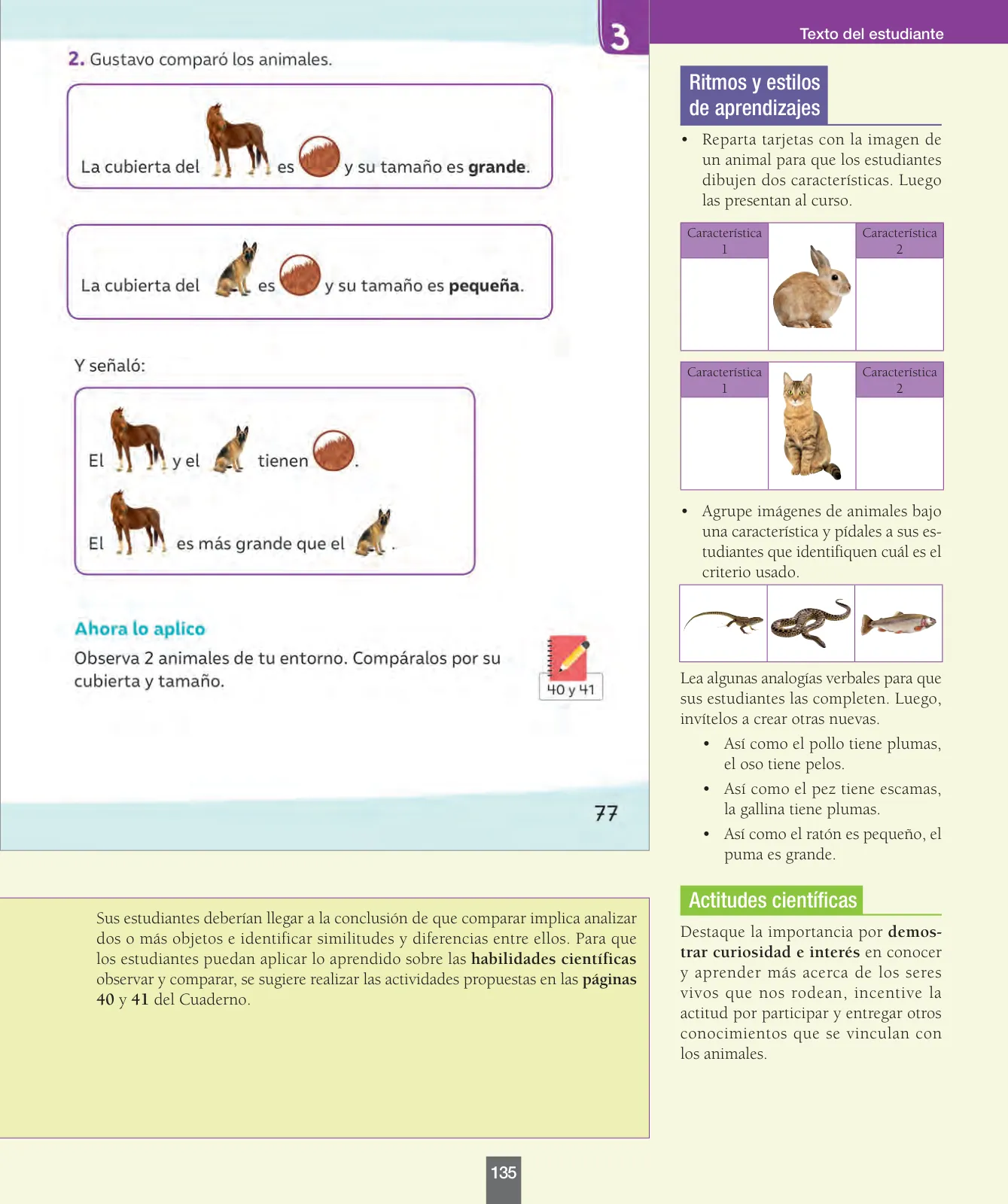 Miniatura página 136 de Ciencias Naturales – Primero Básico | Texto del Estudiante (MINEDUC) – Descargar PDF · 2024