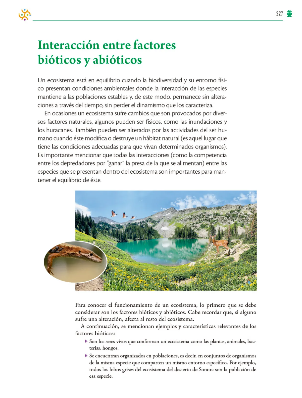 Página 228 de Colección Ximhai. Saberes y pensamiento científico. Libro de Educación Telesecundaria Grado 1° Ciclo Escolar 2025 - 2026