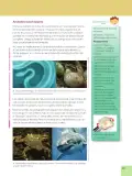 Miniatura página 47 de Ciencias Naturales 6° · Egb 6 Ciencias Naturales 2025 · 2025