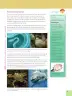 Miniatura página 47 de Ciencias Naturales 6° · Egb 6 Ciencias Naturales 2025 · 2025
