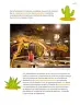 Miniatura página 22 de Múltiples lenguajes.   Libro de Educación Primaria Grado 5°  Ciclo Escolar 2025 - 2026