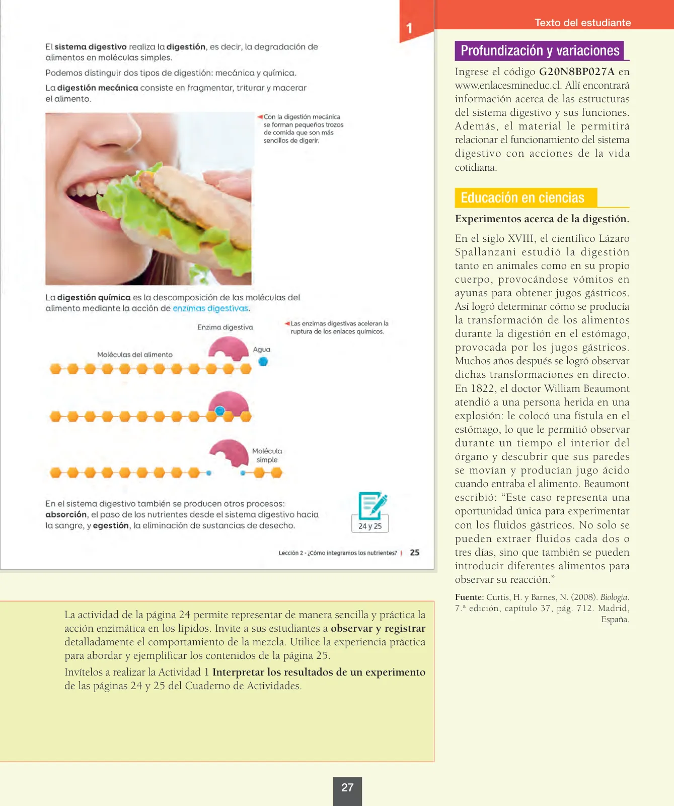 Miniatura página 28 de Ciencias Naturales – Octavo Básico | Texto del Estudiante MINEDUC – Descargar PDF · 2024