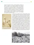 Miniatura página 117 de Colección Nanahuatzin. Ética, naturaleza y sociedades.   Libro de Educación Telesecundaria Grado 3°  Ciclo Escolar 2025 - 2026