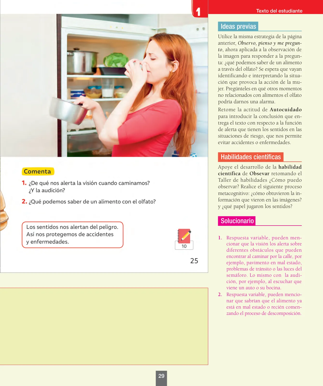 Miniatura página 30 de Ciencias Naturales – Primero Básico | Texto del Estudiante (MINEDUC) – Descargar PDF · 2024
