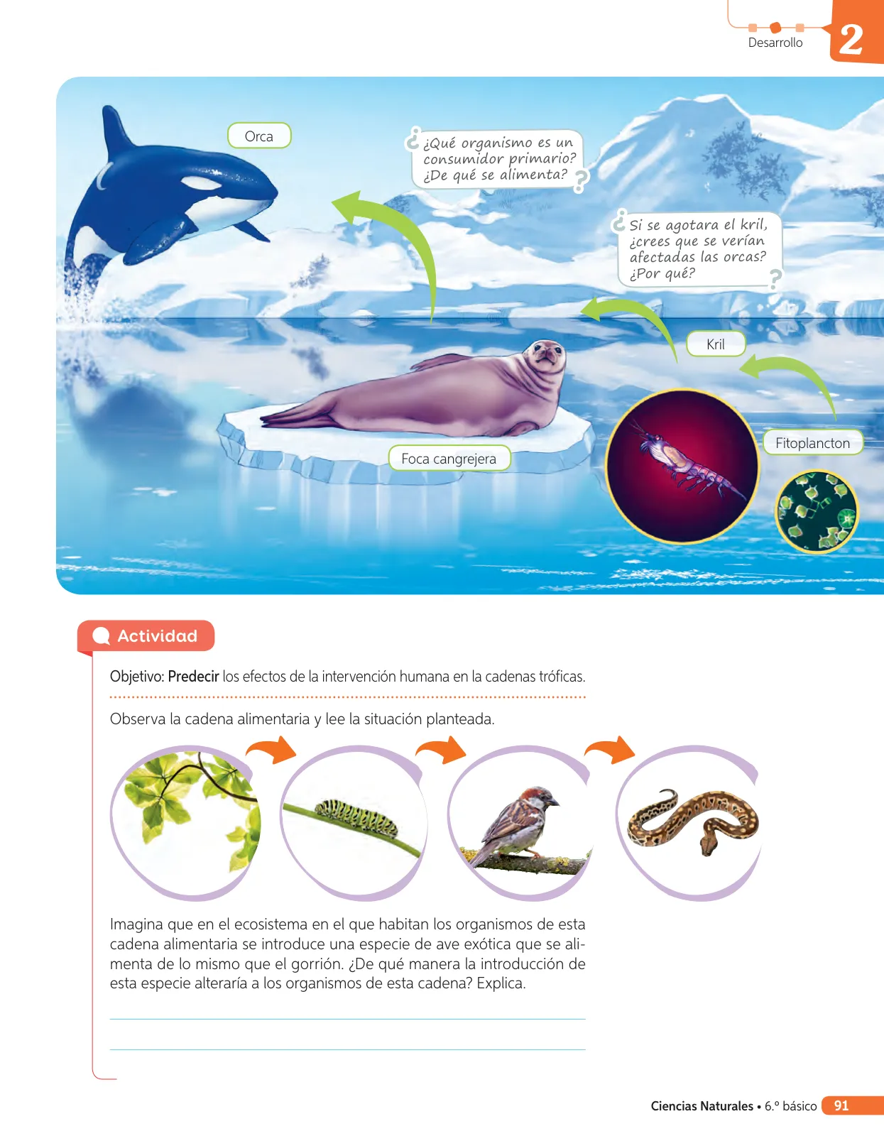 Página 210 de Libro de Ciencias Naturales – Quinto Básico | Texto del Estudiante MINEDUC – Descargar PDF · 2024