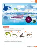Miniatura página 210 de Libro de Ciencias Naturales – Quinto Básico | Texto del Estudiante MINEDUC – Descargar PDF · 2024