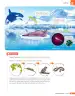 Miniatura página 210 de Libro de Ciencias Naturales – Quinto Básico | Texto del Estudiante MINEDUC – Descargar PDF · 2024