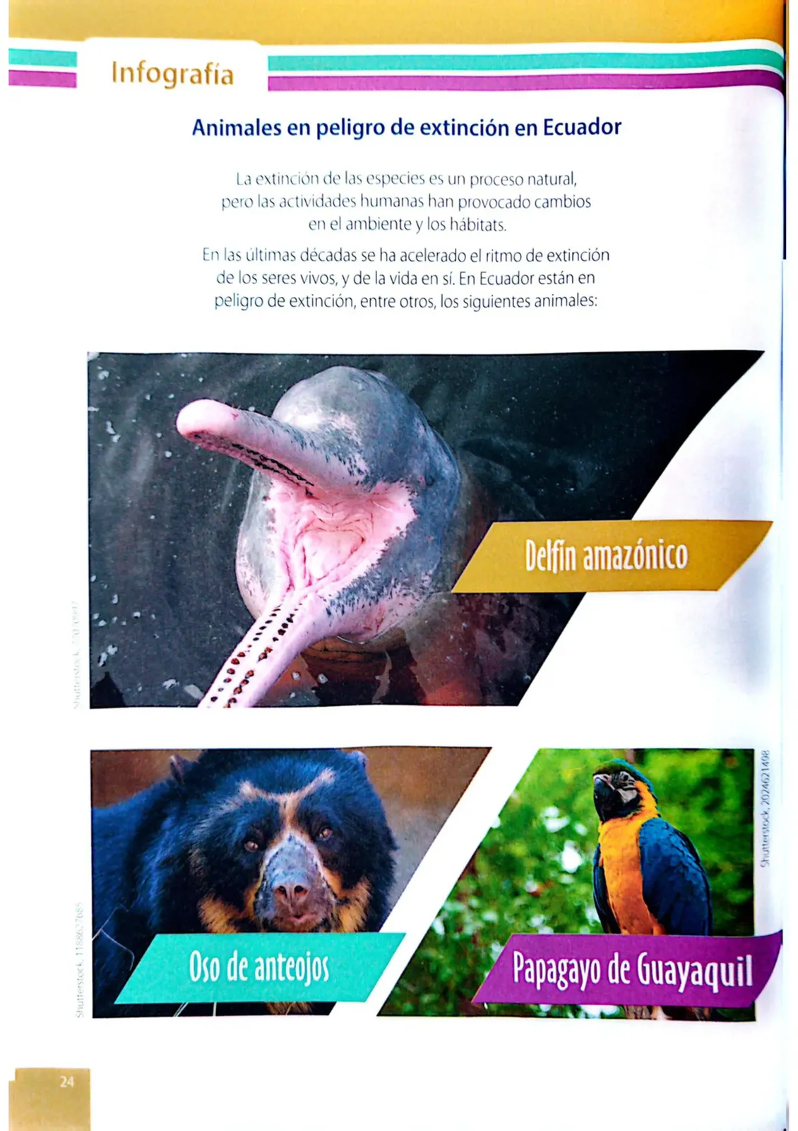 Página 21 de Ciencias Naturales · 4 EGB · 2025