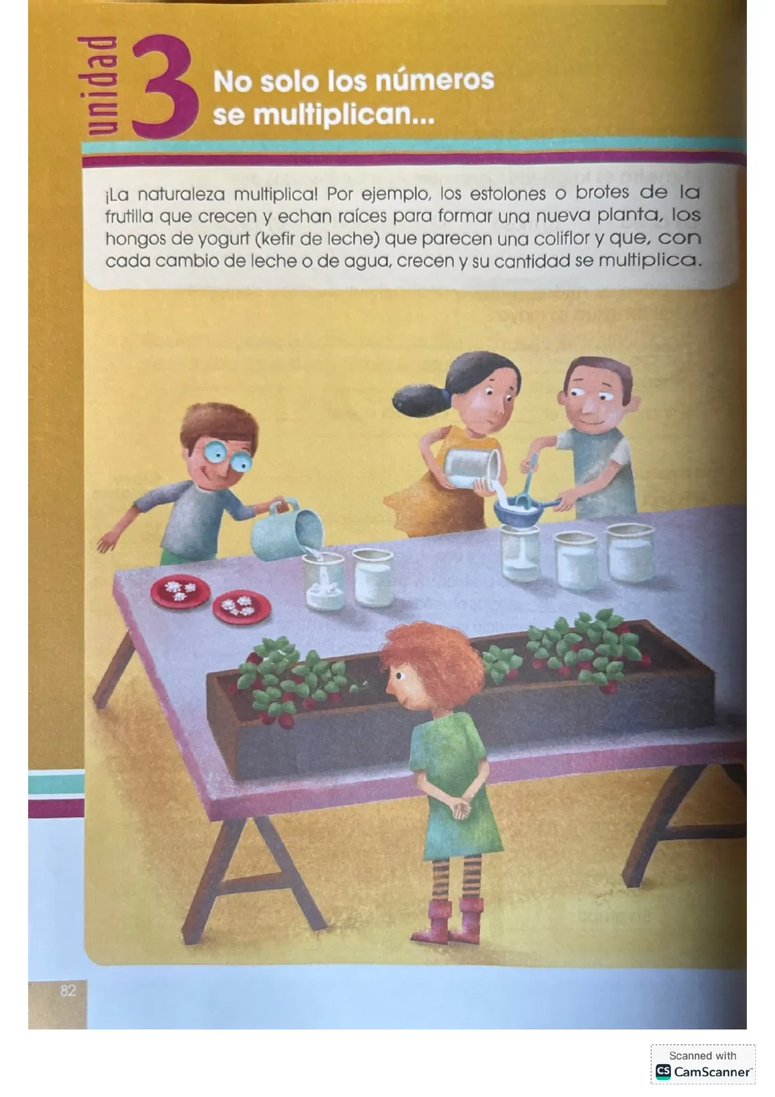 Pág 82