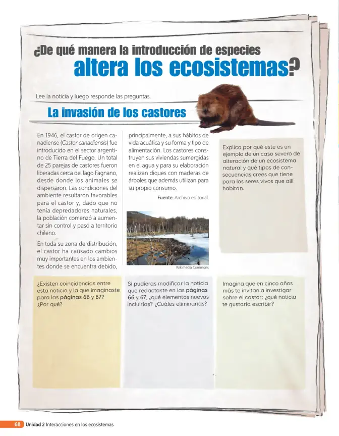 Página 187 de Libro de Ciencias Naturales – Quinto Básico | Texto del Estudiante MINEDUC – Descargar PDF · 2024