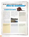 Miniatura página 187 de Libro de Ciencias Naturales – Quinto Básico | Texto del Estudiante MINEDUC – Descargar PDF · 2024