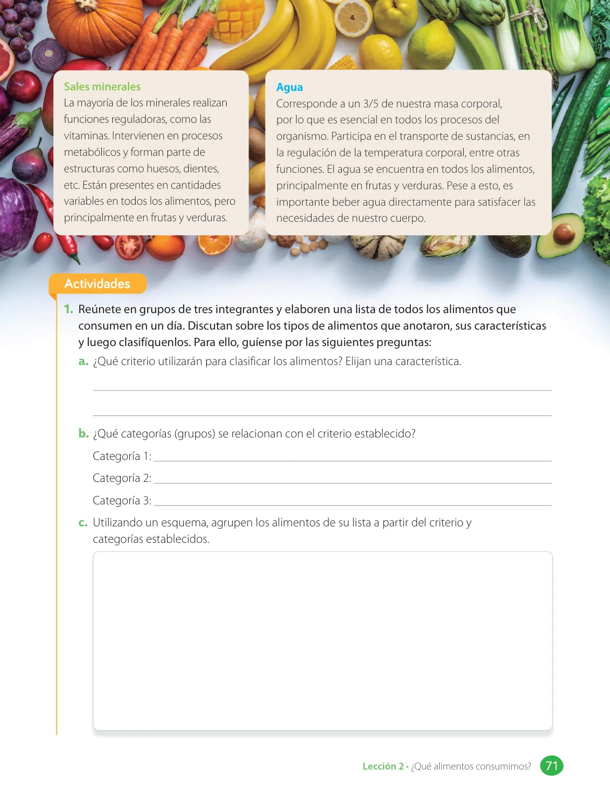 Miniatura página 73 de Libro de Ciencias Naturales – Quinto Básico | Texto del Estudiante MINEDUC – Descargar PDF · 2024