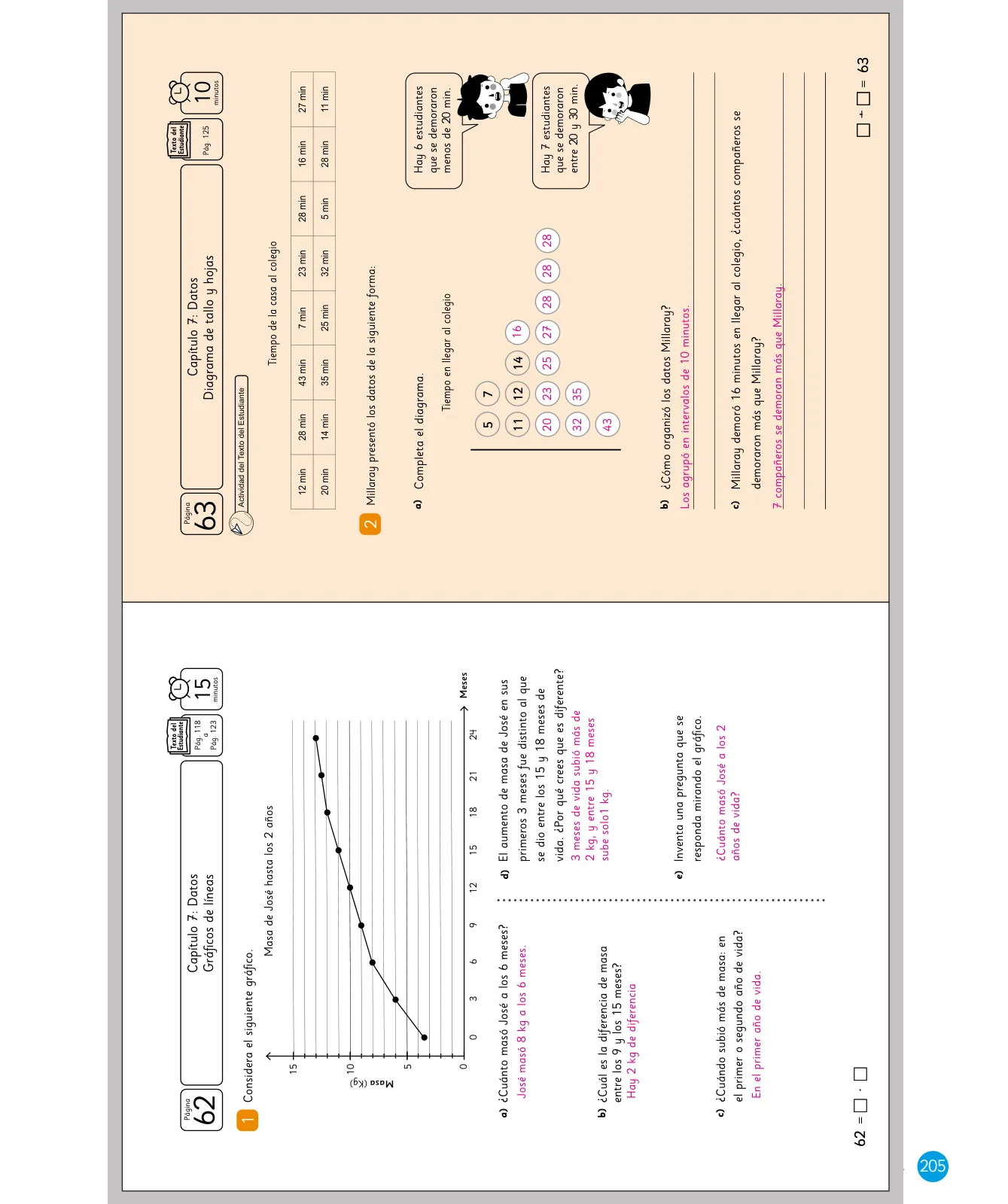 Miniatura página 207 de Sumo Primero – Quinto Básico | Texto del Estudiante MINEDUC – Descargar PDF · 2024