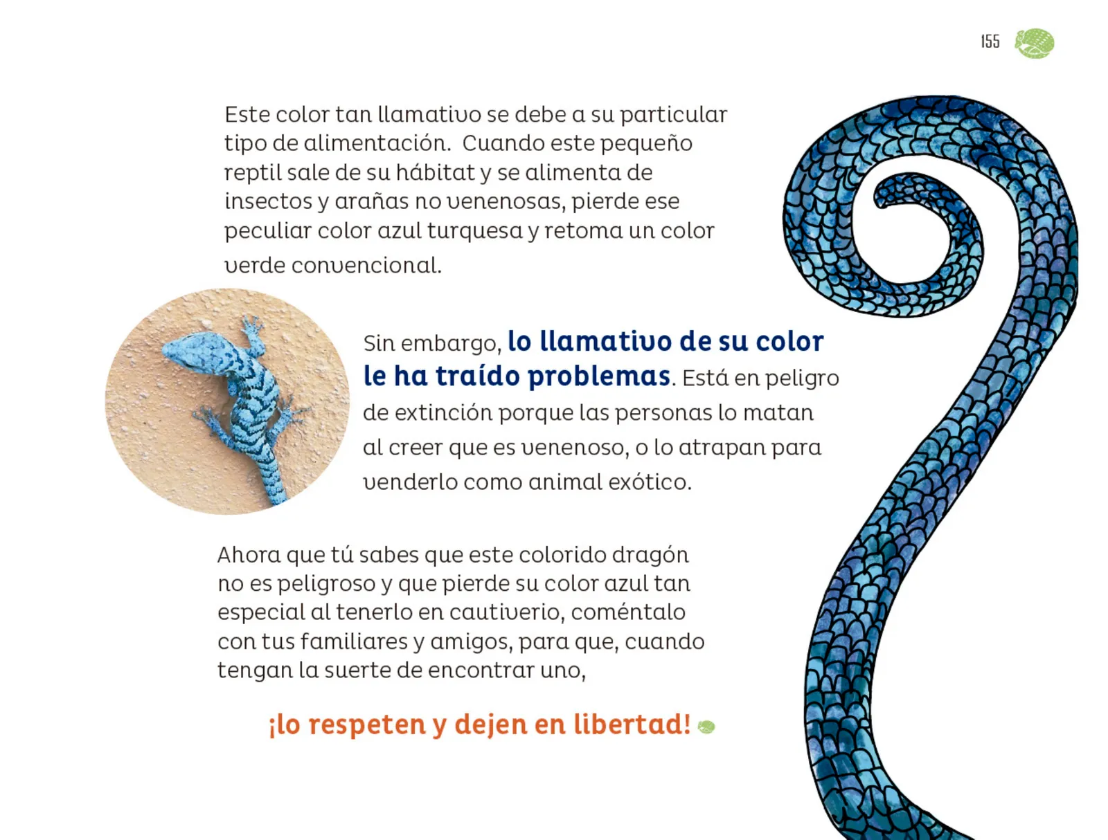 Miniatura página 156 de Múltiples lenguajes.   Libro de Educación Preescolar Grado 1°  Ciclo Escolar 2025 - 2026