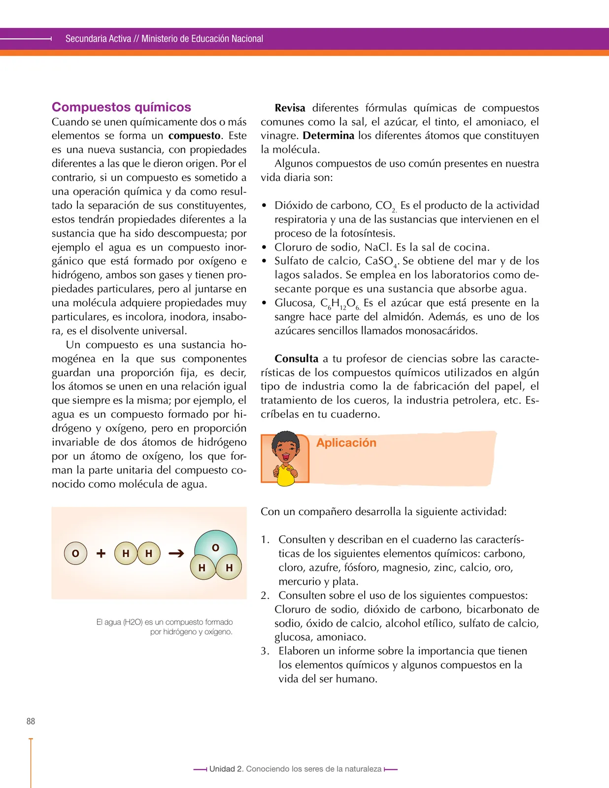 Miniatura página 88 de Ciencias Naturales 6° · Secundaria Activa