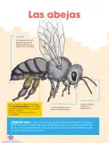 Miniatura página 92 de Cuadernillo de Comunicación 6. Sexto grado de Primaria · 2024