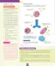 Miniatura página 43 de Ciencias Naturales – Séptimo Básico | Texto del Estudiante MINEDUC – Descargar PDF · 2024