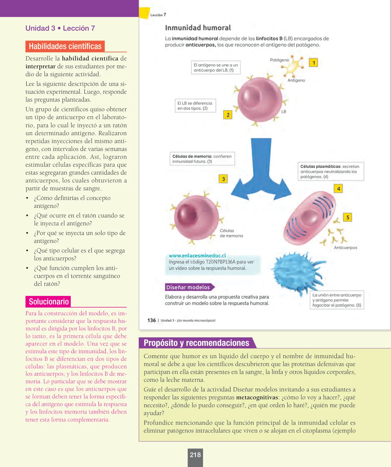 Miniatura página 43 de Ciencias Naturales – Séptimo Básico | Texto del Estudiante MINEDUC – Descargar PDF · 2024