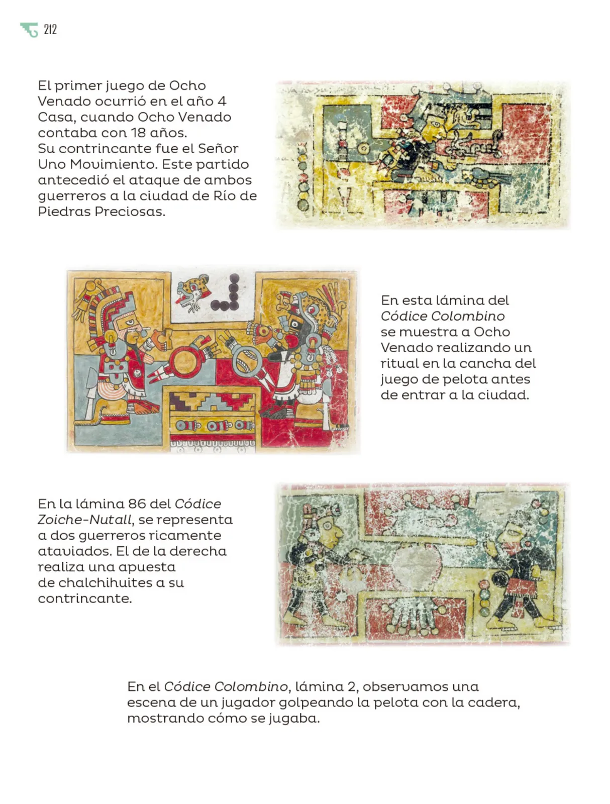 Miniatura página 213 de Múltiples lenguajes.   Libro de Educación Primaria Grado 5°  Ciclo Escolar 2025 - 2026