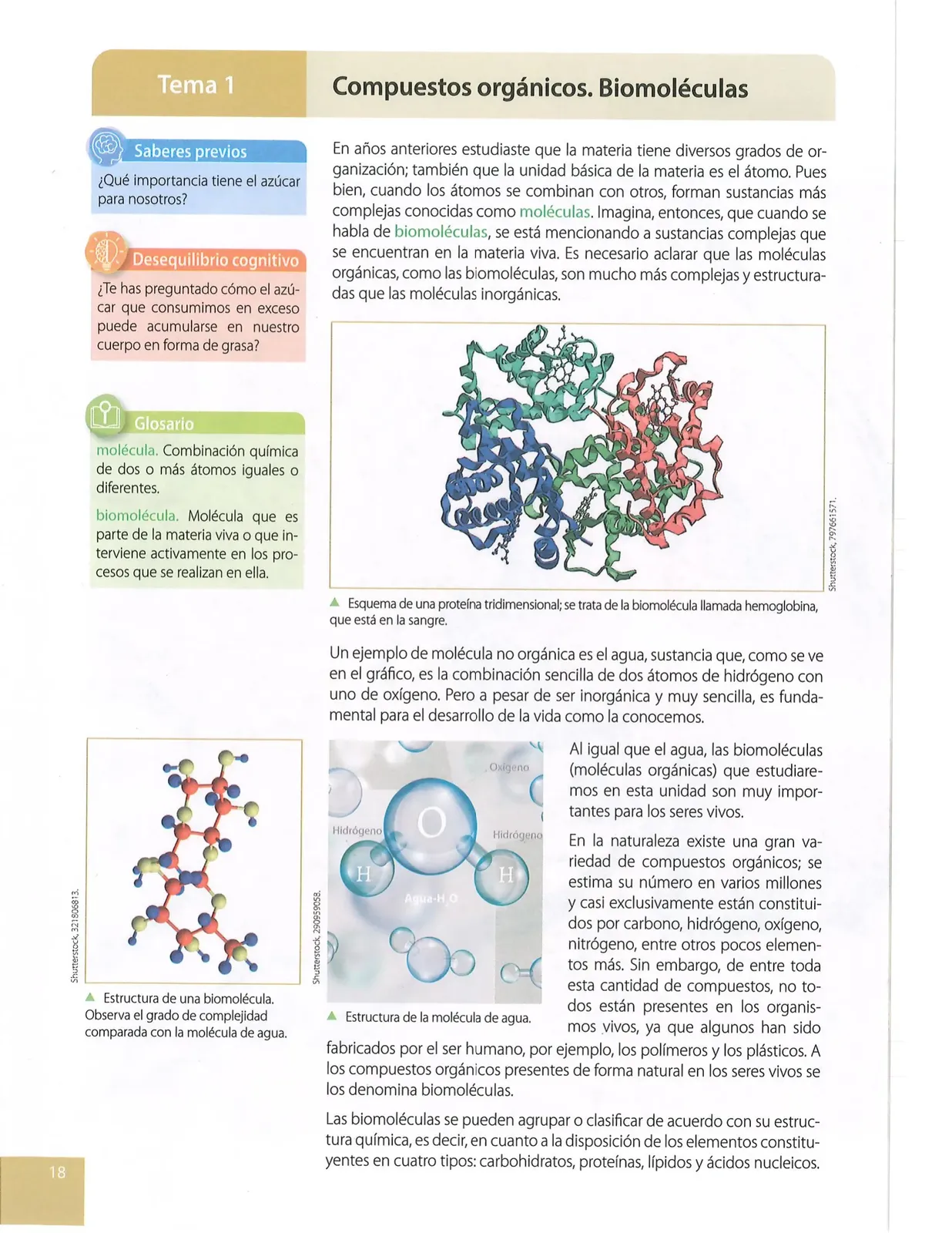 Miniatura página 15 de Ciencias Naturales · 10 EGB · 2024