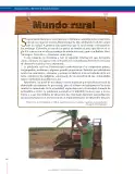 Miniatura página 266 de Lenguaje 8° · Secundaria Activa