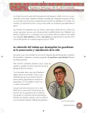 Miniatura página 43 de Etnoeducacion 7° · Egb 7 Etnoeducacion 2024 · 2024