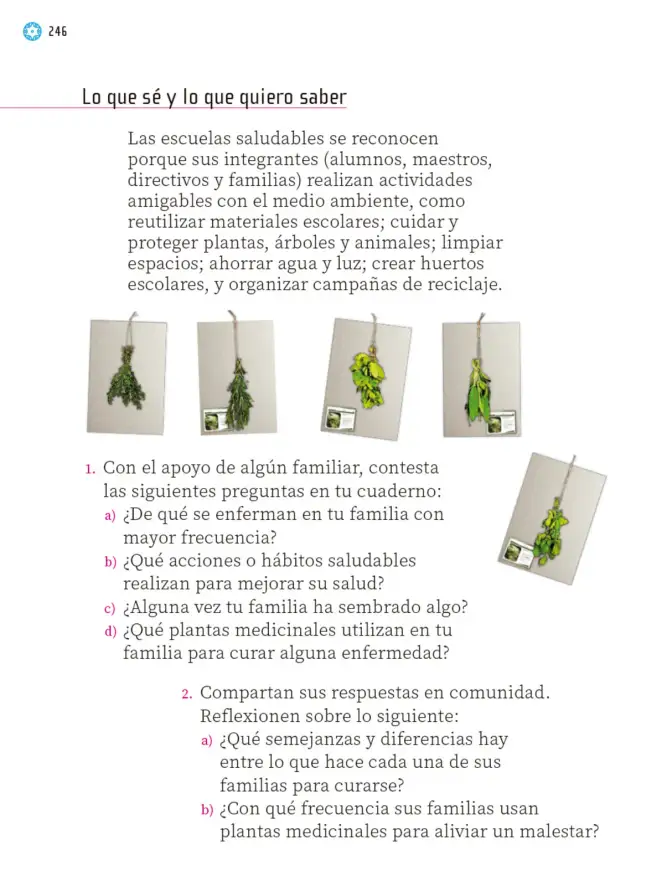 Página 247 de Proyectos Escolares. Libro de Educación Primaria Grado 1° Ciclo Escolar 2025 - 2026