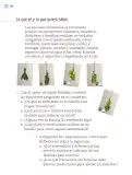 Miniatura página 247 de Proyectos Escolares.   Libro de Educación Primaria Grado 1°  Ciclo Escolar 2025 - 2026