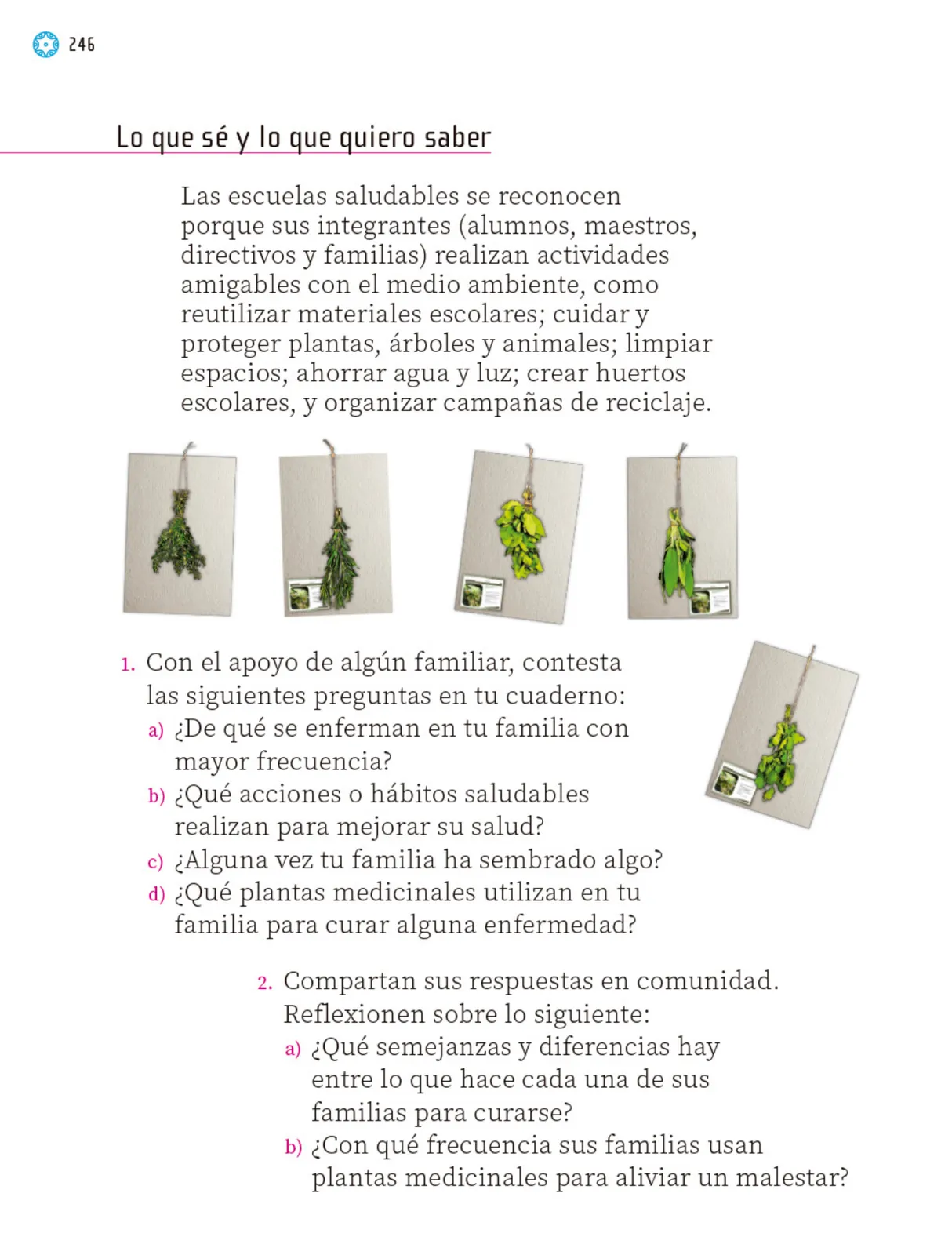 Miniatura página 247 de Proyectos Escolares.   Libro de Educación Primaria Grado 1°  Ciclo Escolar 2025 - 2026