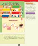 Miniatura página 46 de Ciencias Naturales – Primero Básico | Texto del Estudiante (MINEDUC) – Descargar PDF · 2024