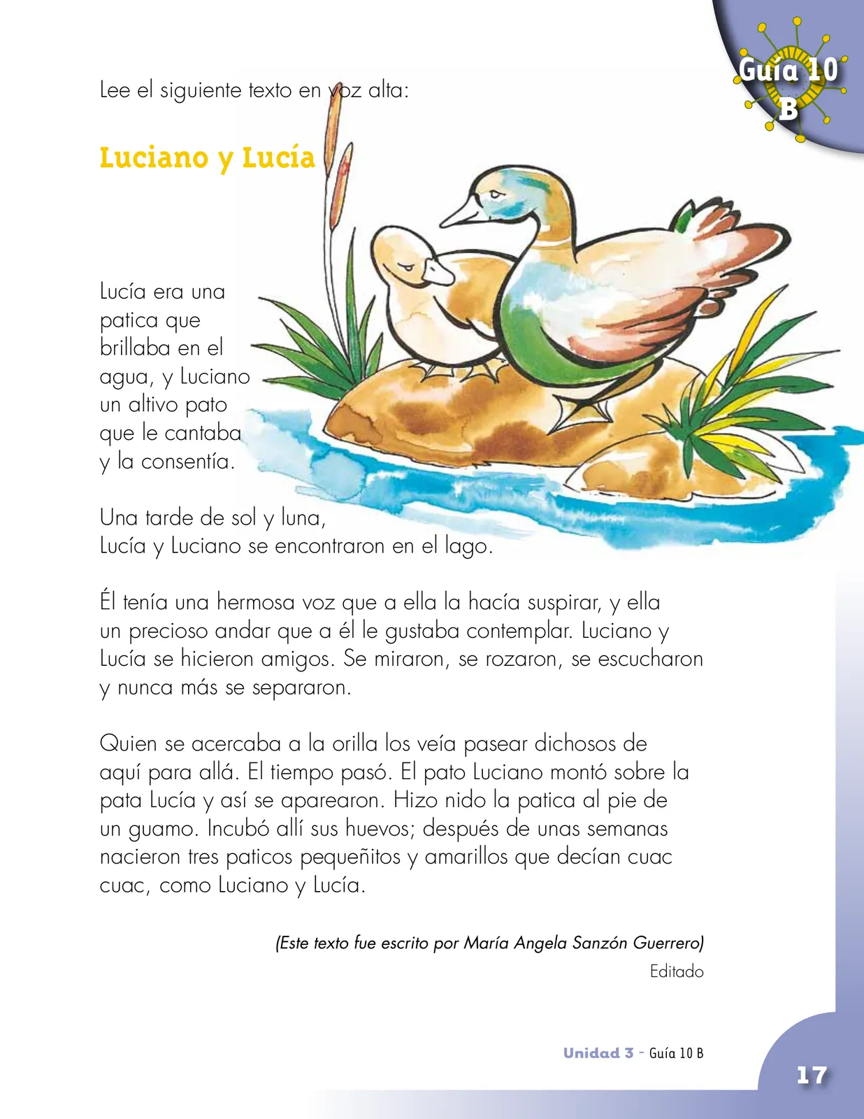 Página 17