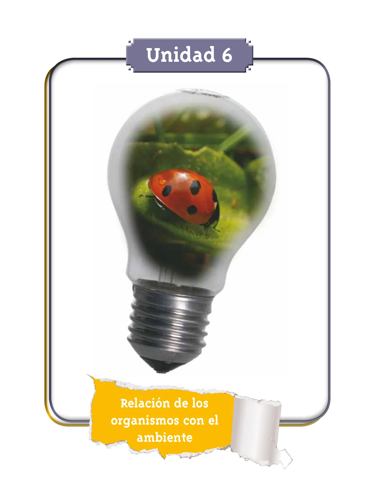 Pág 35