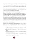 Miniatura página 9 de Etnoeducacion 9° · Egb 9 Etnoeducacion 2025 · 2025