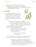 Miniatura página 70 de Proyectos Comunitarios.   Libro de Educación Primaria Grado 1°  Ciclo Escolar 2025 - 2026