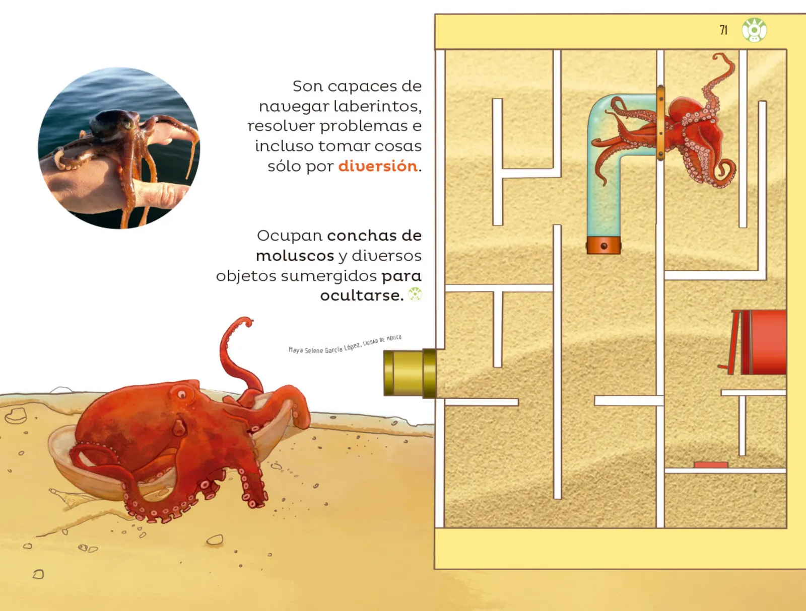 Página 72 de Múltiples lenguajes.   Libro de Educación Preescolar Grado 3°  Ciclo Escolar 2025 - 2026
